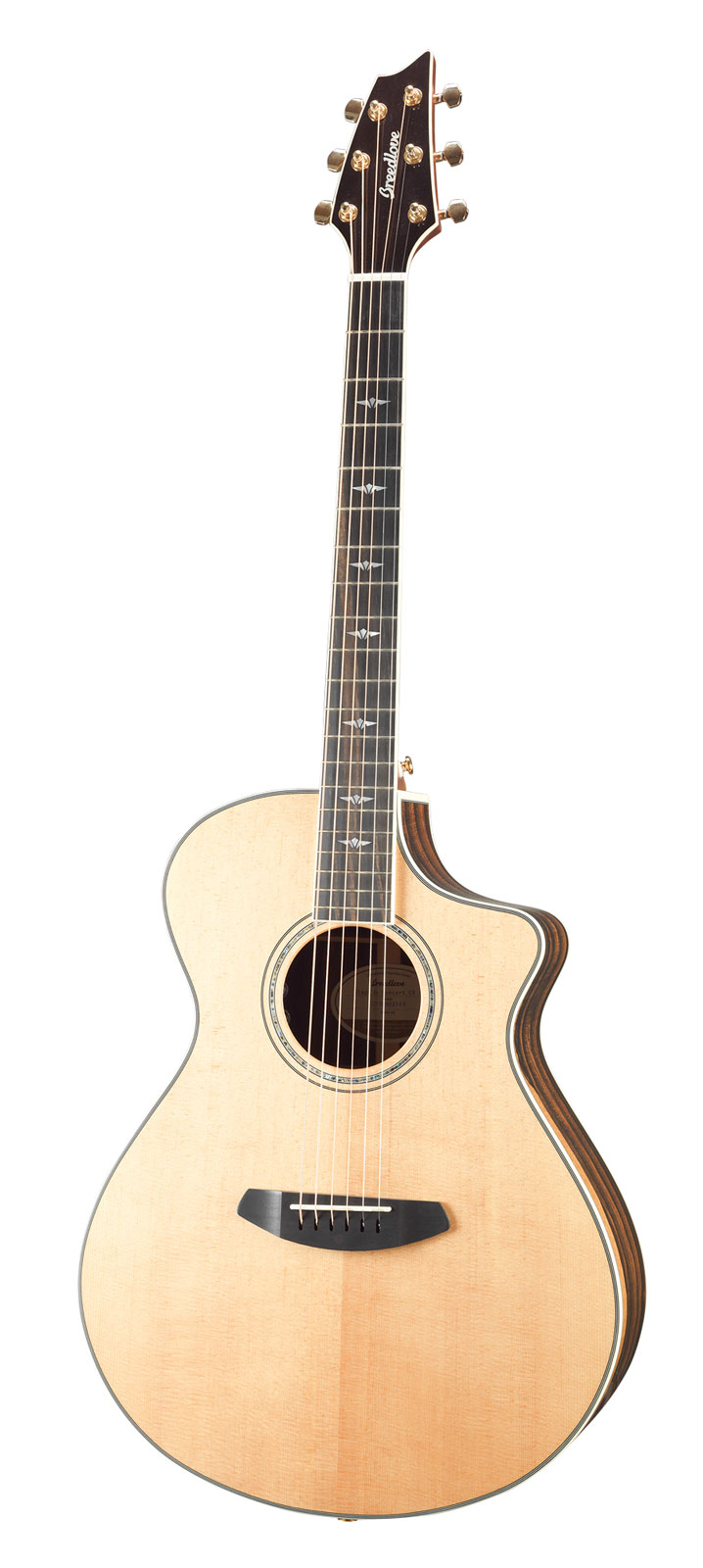 BREEDLOVE STAGE EX CONCERT,CW LR BAGGS 