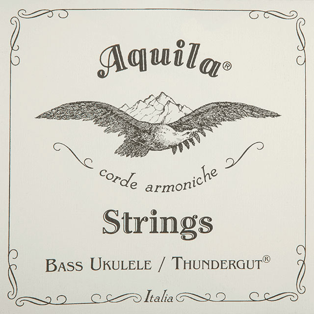 AQUILA THUNDERGUT 5 STRING BASS UKULELE SET, B-EADG