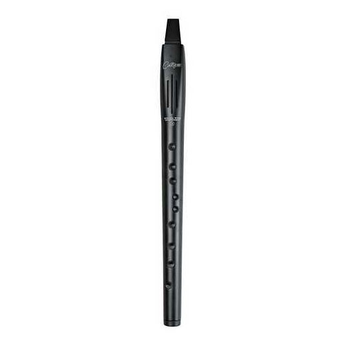 CARRY ON DIGITAL WIND INSTRUMENT 2 BLACK