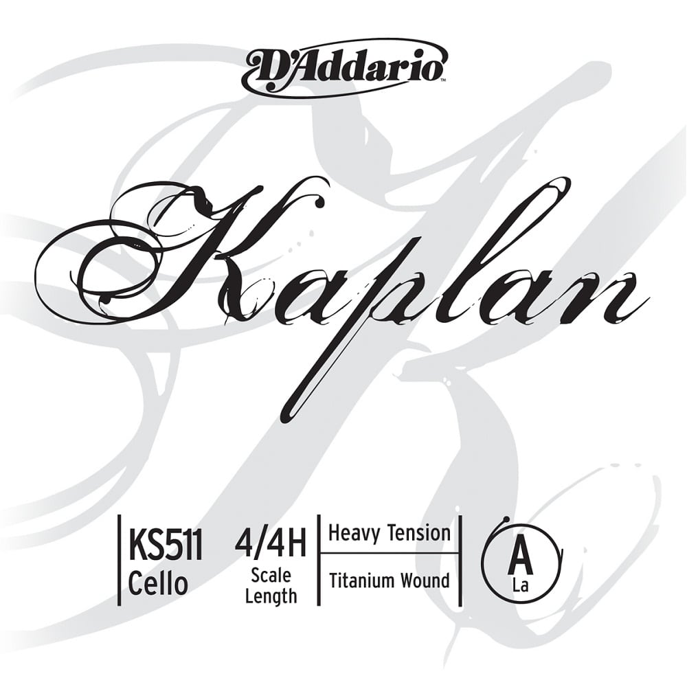 D'ADDARIO AND CO 4/4 KAPLAN CORDE LA HEAVY/ACIER FILE TITANIUM 