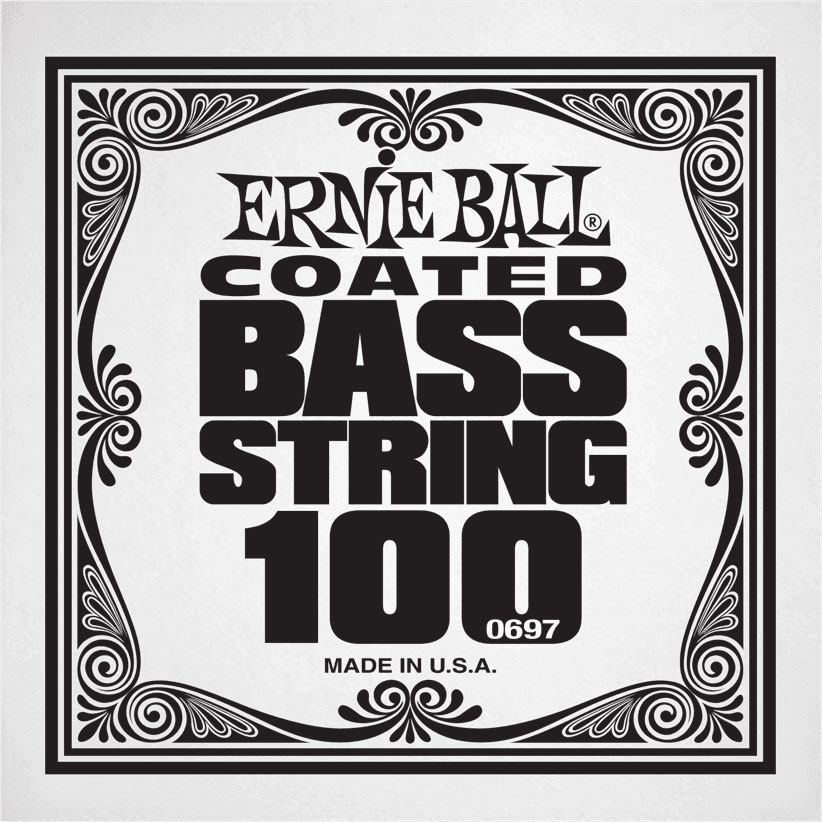 ERNIE BALL SLINKY COATED 100