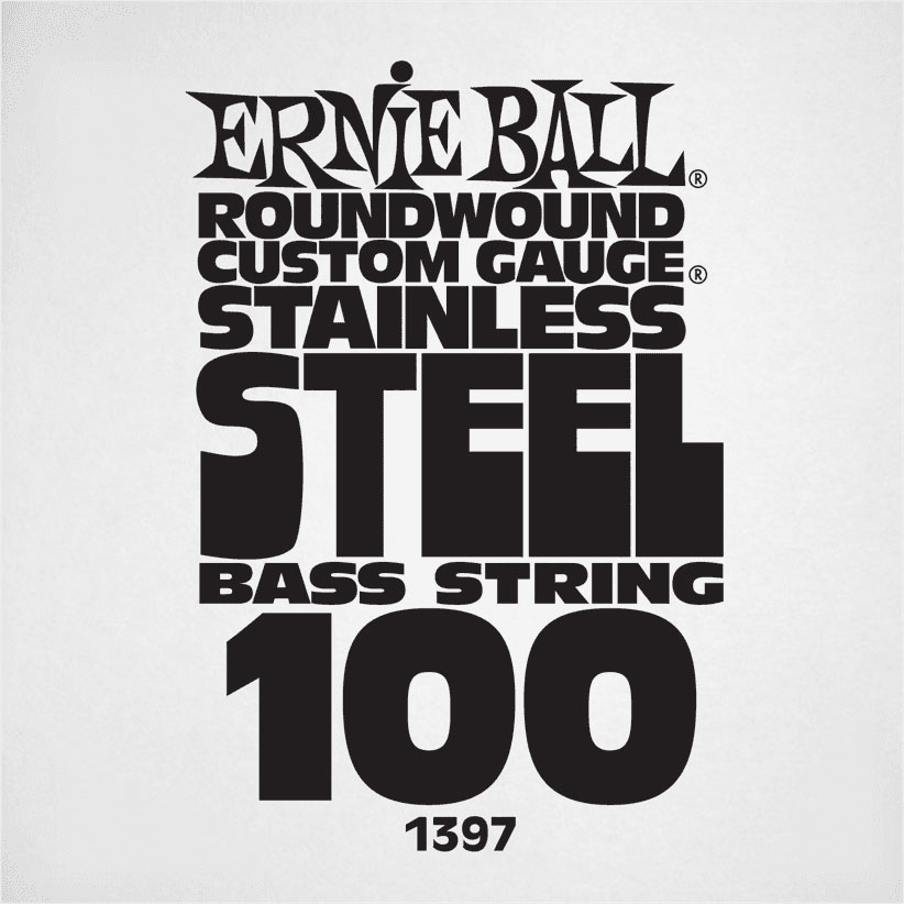 ERNIE BALL Slinky Stainless Steel 100