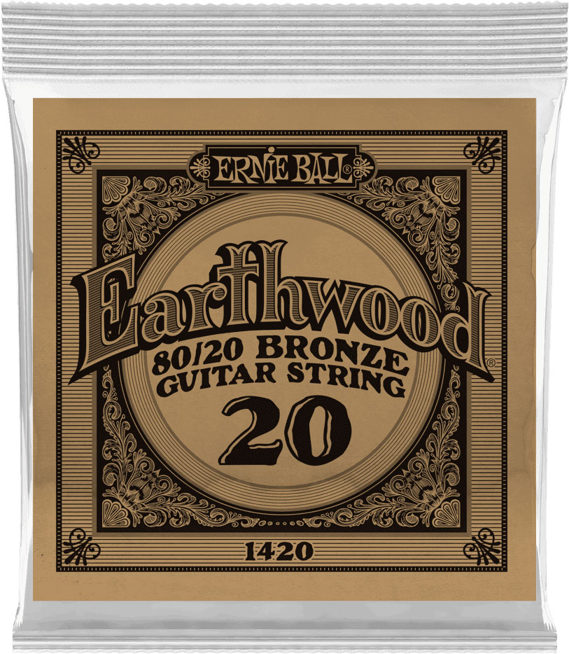 ERNIE BALL Earthwood 80/20 Bronze 20