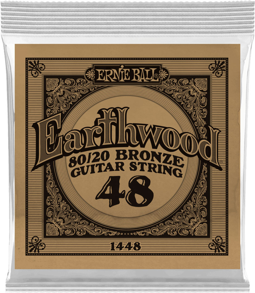 ERNIE BALL Earthwood 80/20 Bronze 48