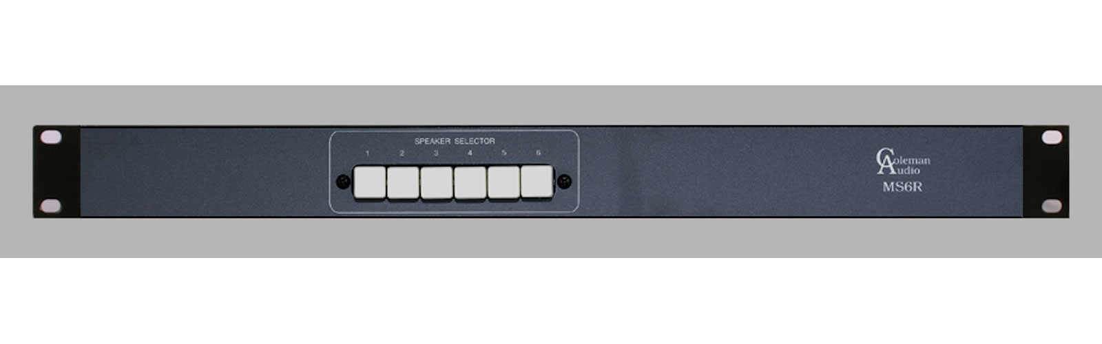 COLEMAN AUDIO MS6R