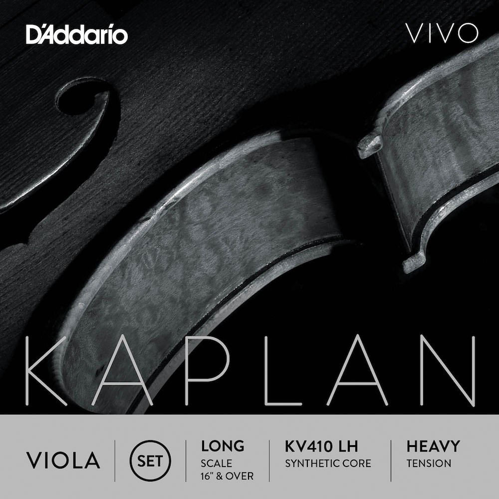 D'ADDARIO AND CO Jeu Kaplan Vivo Diapason Long Heavy