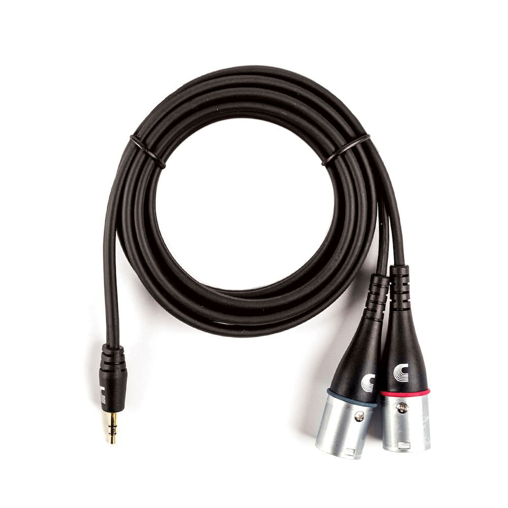D'ADDARIO AND CO Custom Series 1/8 To Dual XLR Audio Cable
