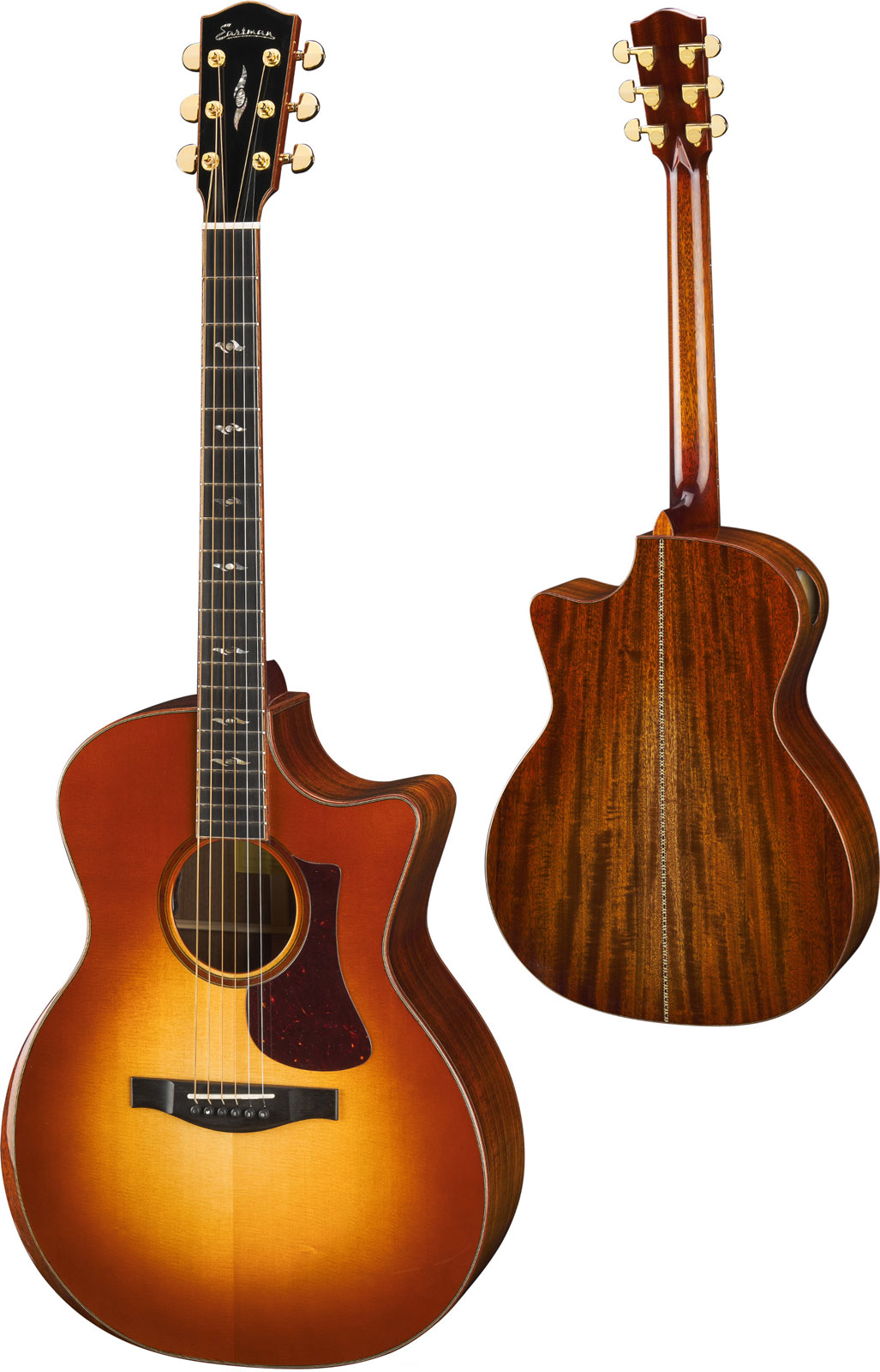 EASTMAN Ac522Ce-Gb Goldburst