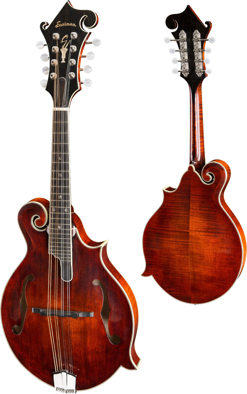 EASTMAN Md815 Classic