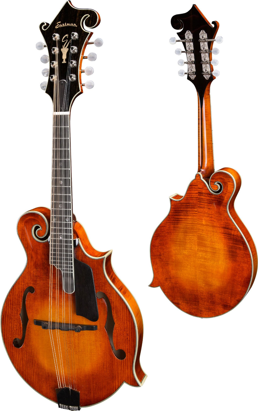 EASTMAN Md815Pge-Hb Honeyburst