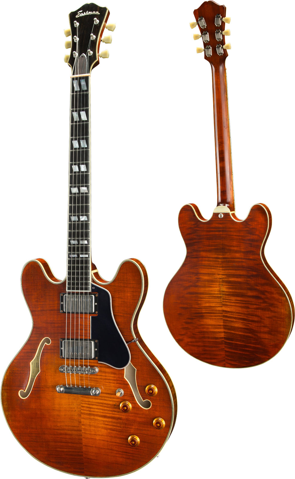 EASTMAN T59/Tv Classic