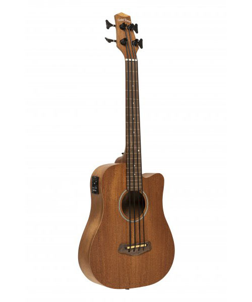 GOLD TONE M-Bass-Fl Ac.El.Micro Bass 23
