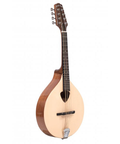 GOLD TONE Traditional Irish Alto Mandolin With Case