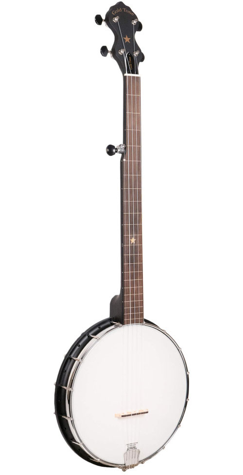 GOLD TONE Banjo 5 Open Back Nylgut Fretless