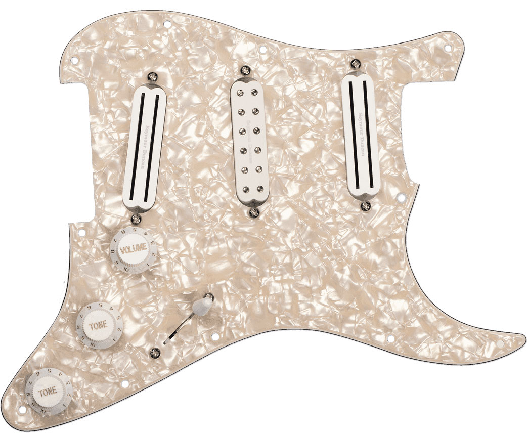 SEYMOUR DUNCAN PRE-CABLE PLATES DAVE MURRAY D. MURRAY PICKGUARD