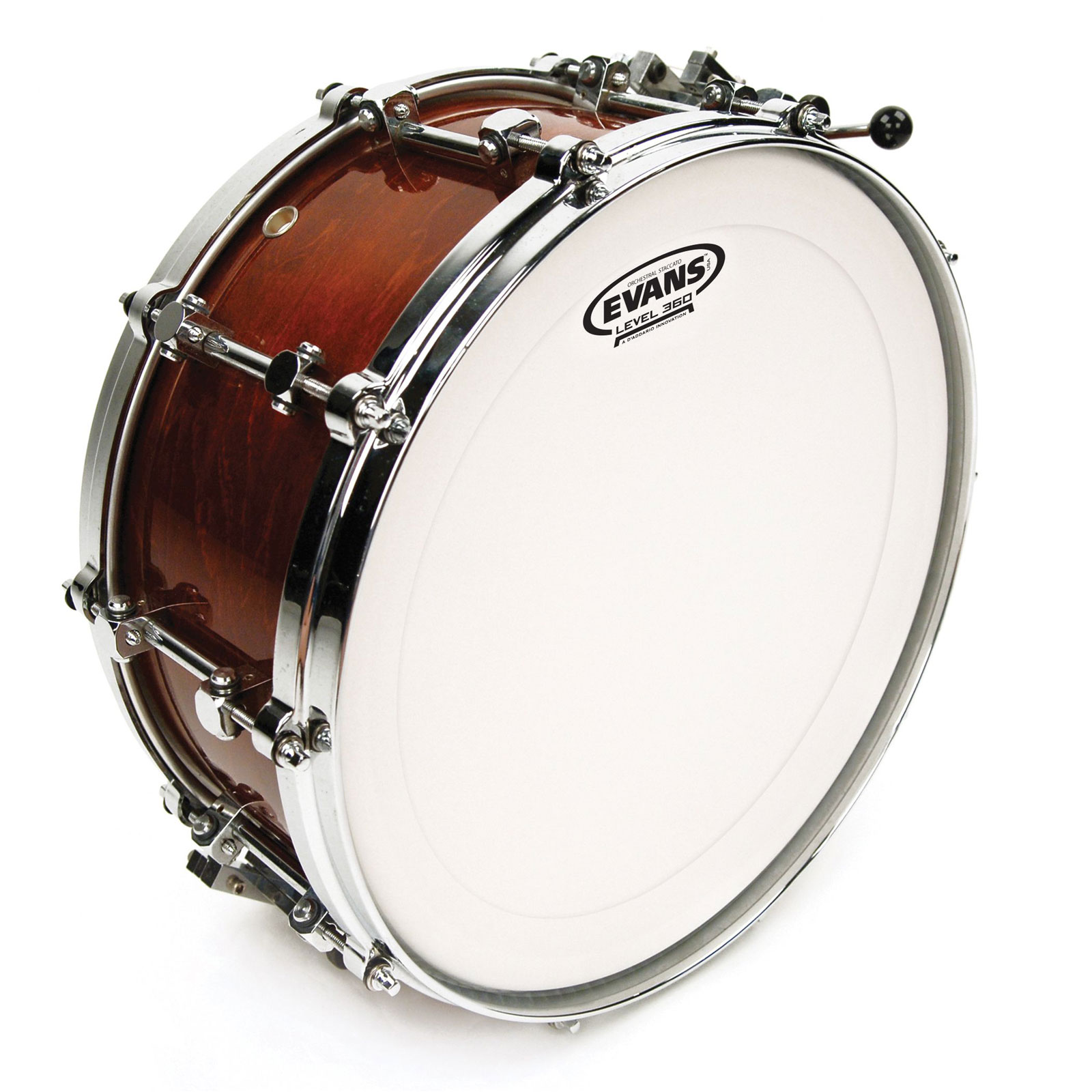 EVANS B14GCSS - Peau Concert Staccato 14