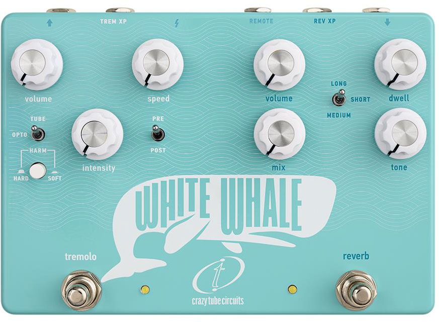 CRAZY TUBE CIRCUITS WHITE WHALE V2 Reverb