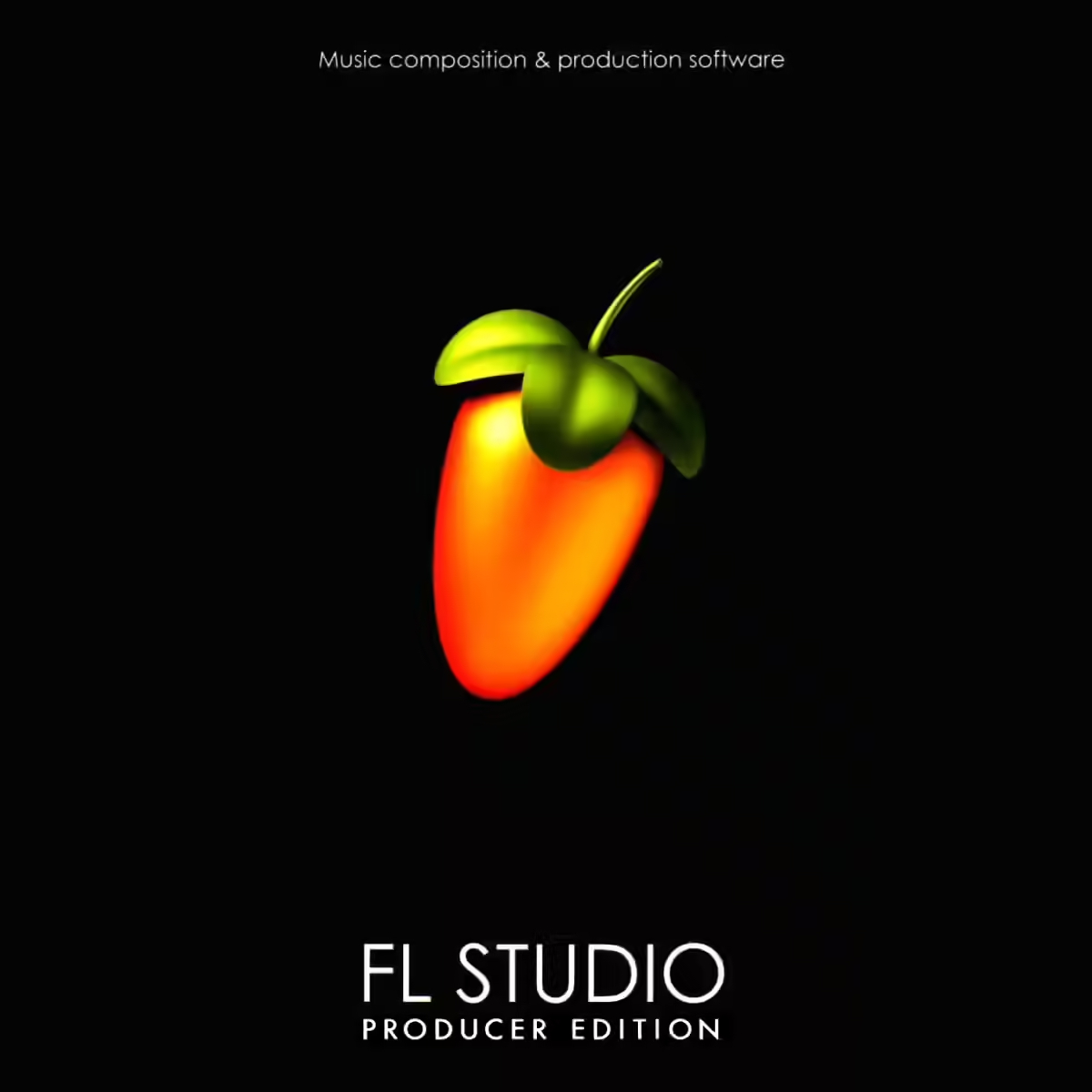 IMAGE LINE FL Studio Producer Edition