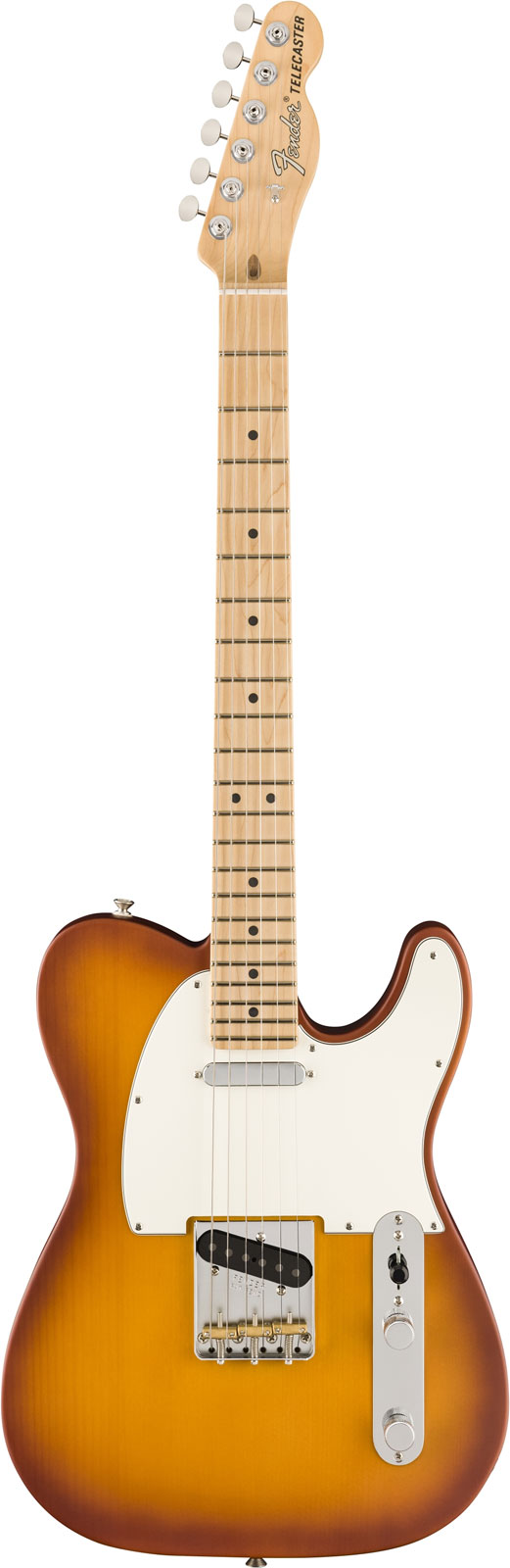 FENDER Telecaster American Performer Mn Honey Burst