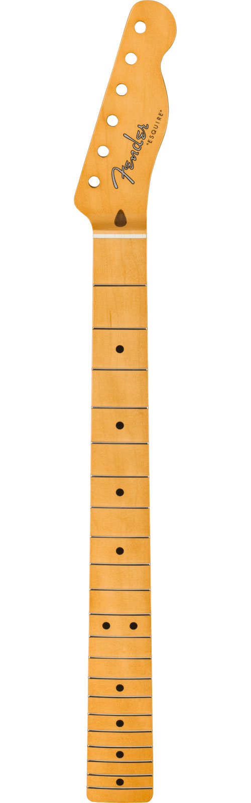 FENDER 50'S ESQUIRE NECK 21 VINTAGE FRETS 7.25