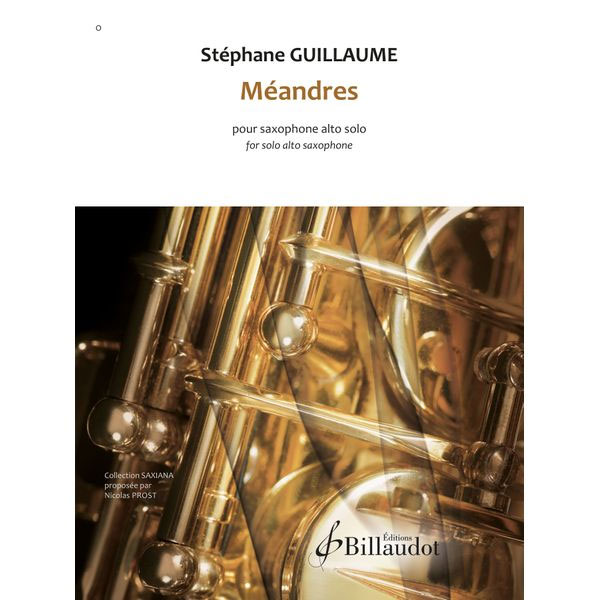 BILLAUDOT Guillaume Stéphane - Meandres