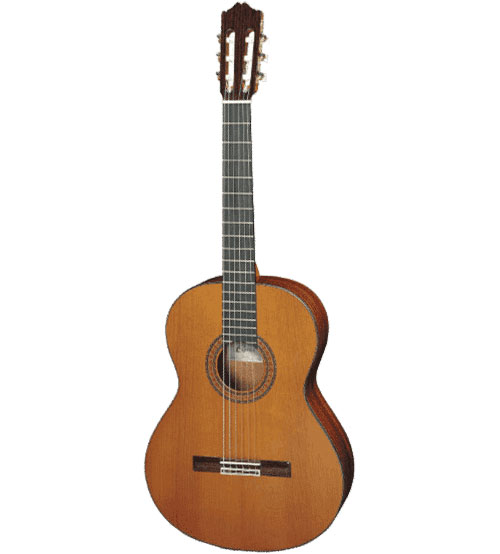 CUENCA 40-R Cedre Massif - Palissandre - Stock B