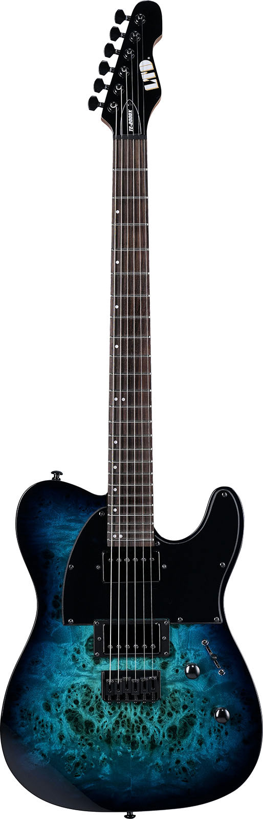 LTD GUITARS Te200Dx Blue Burst