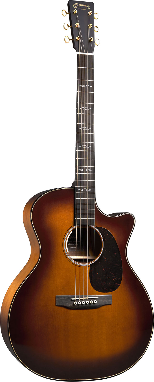MARTIN GUITAR GPCE Inception Maple