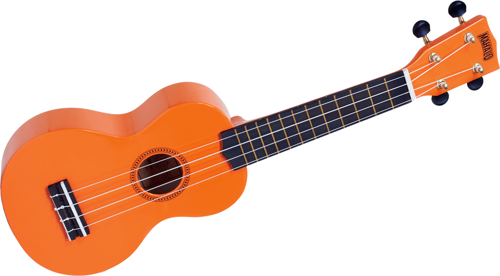 укулеле rainbow. укулеле радужного цвета. укулеле укулеле радужного цвета. гавайская гитара голубая. студия укулеле.