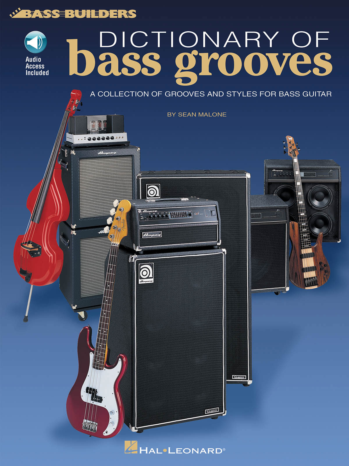 HAL LEONARD DICTIONARY OF BASS GROOVES TAB + AUDIO TRACKS