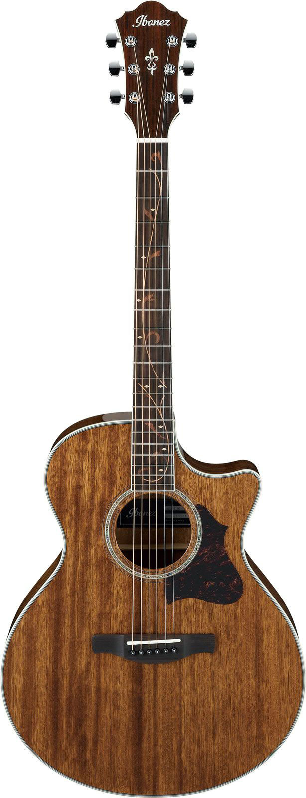 IBANEZ AE245-NT Natural