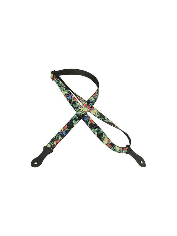 LEVYS 2,55cm, Polypropylene Ukulele Ou Mandolin, Embout Cuir - Dgn 006
