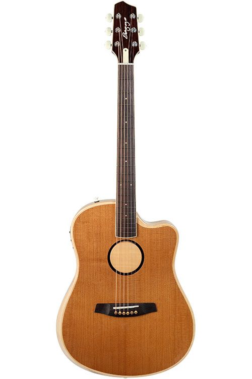 LR BAGGS Aeg-1 Torrefied