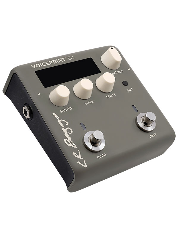 LR BAGGS DI ACOUSTIC WITH VOICE PRINT TECHNOLOGY
