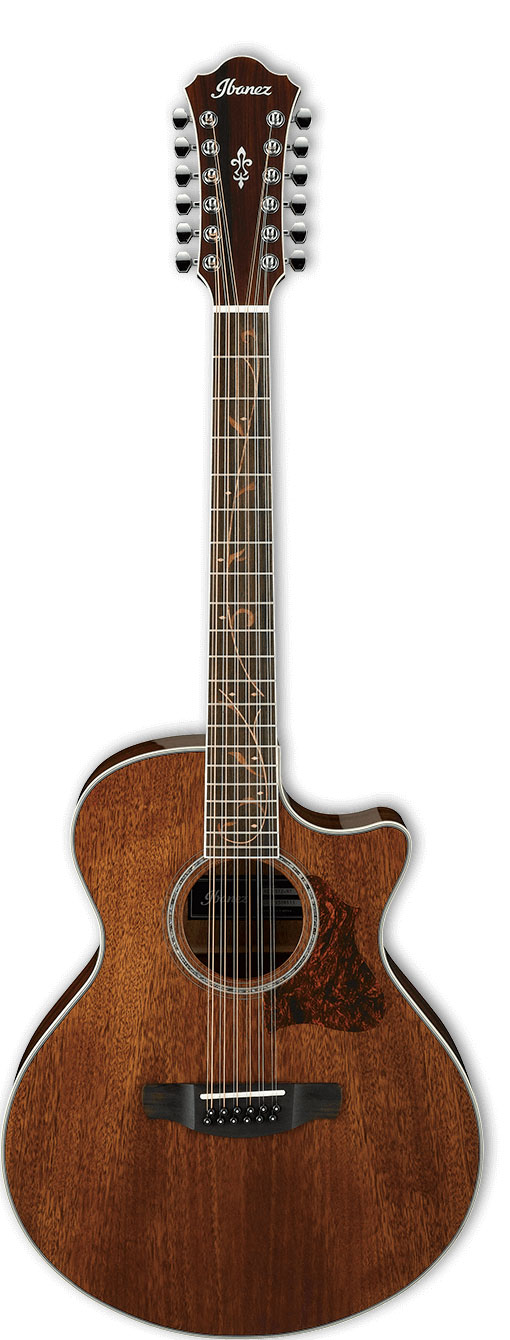 Ibanez Ae2412-nt 12 Cordes Natural