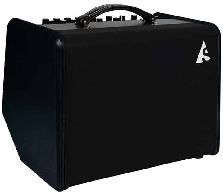 GODIN Acoustic Solutions ASG-8 Bois 120W
