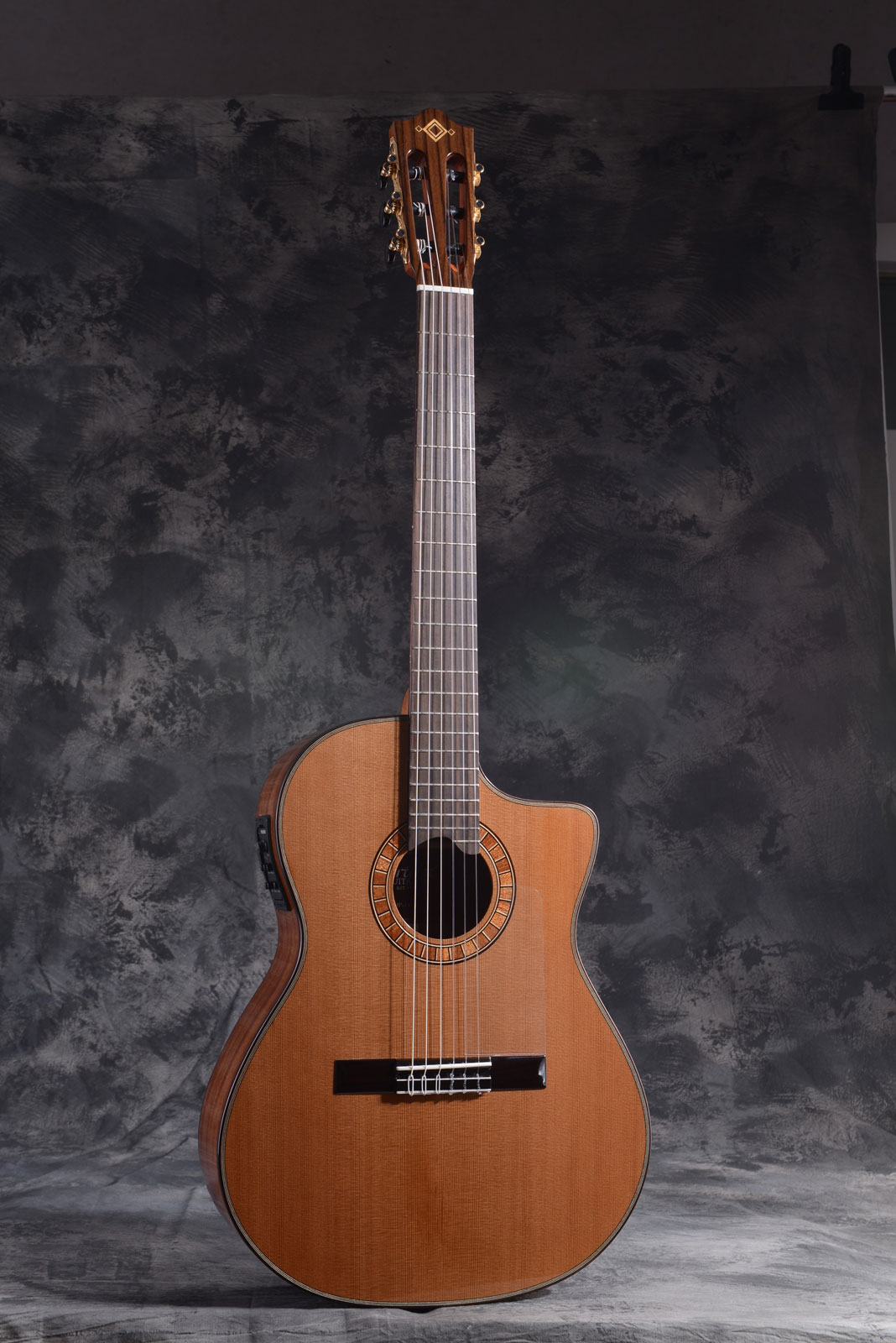 MARTINEZ GUITARS Crossover Mp14-Mh Rn + Gigbag