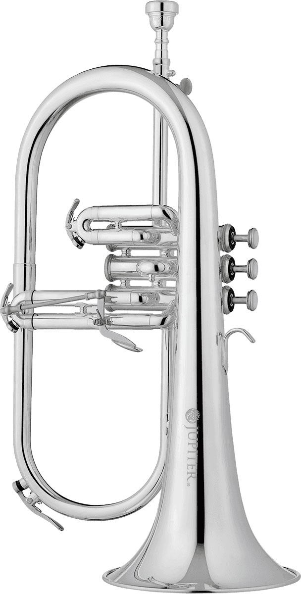 JUPITER 1100RSQ - Sib Argenté + Pav. Cuivre Rose