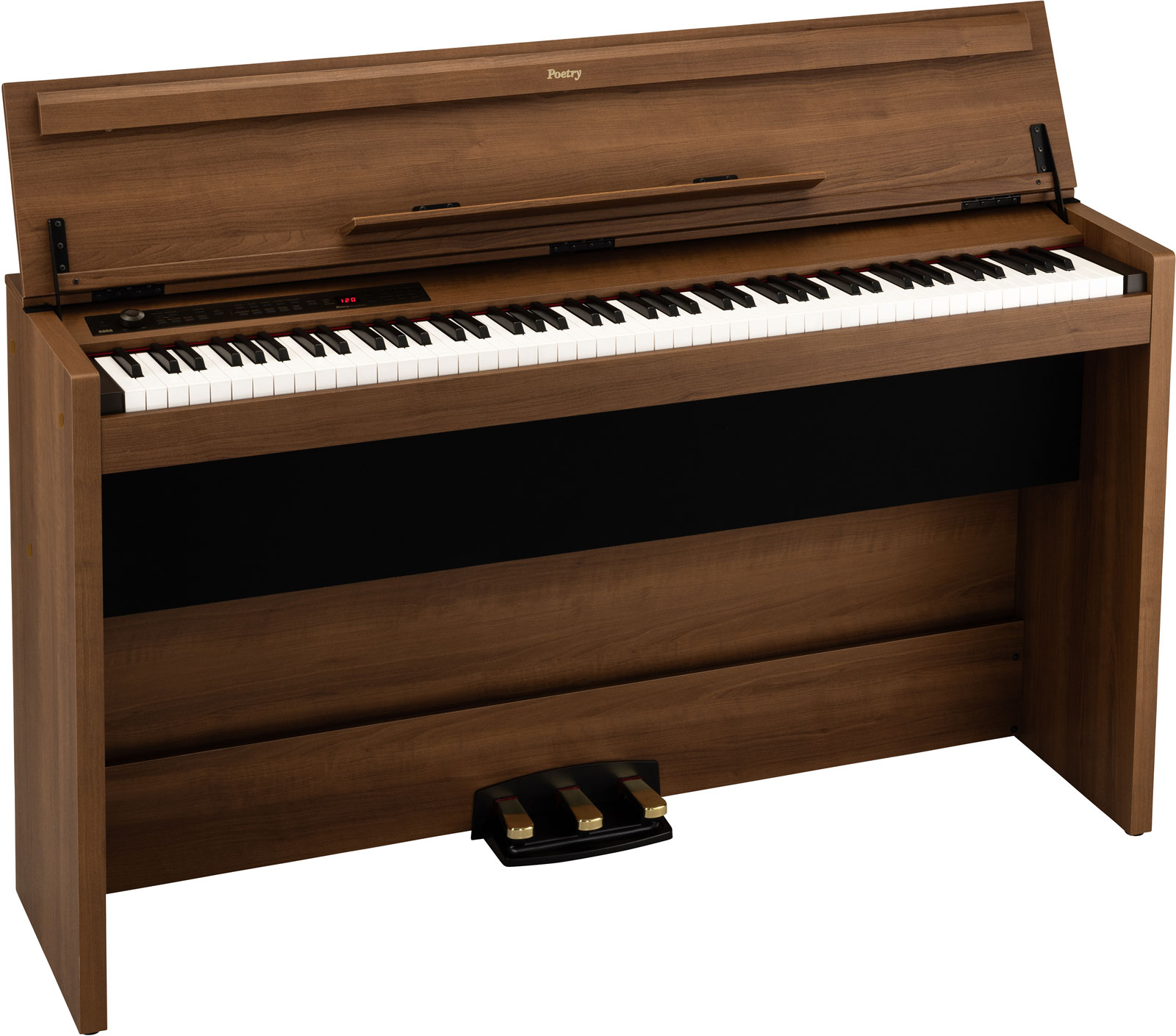 KORG Poetry Magnifique