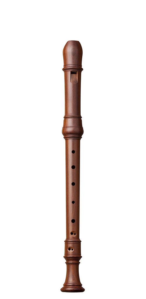 KUNG SUPERIO ALTO PLUM 2404