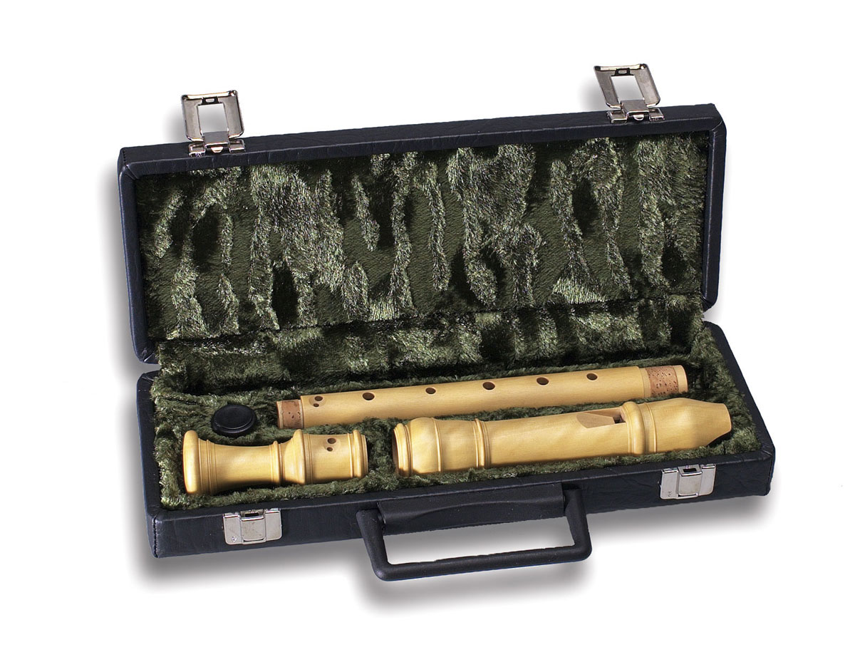 MOLLENHAUER CASE FOR ALTO RECORDER 7102