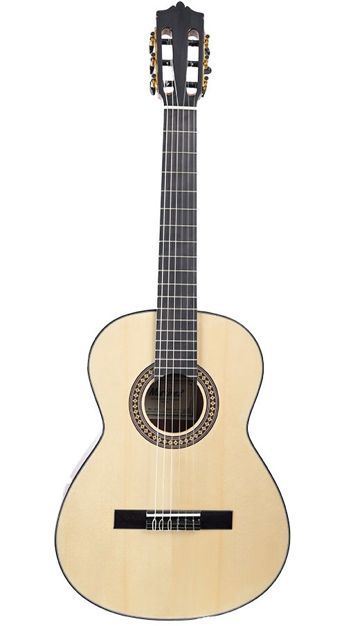 MARTINEZ GUITARS Martinez Standard Mc-20S 1/2 Rn
