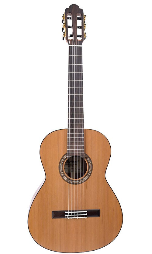 MARTINEZ GUITARS Torres 1/2 RN Mahogany
