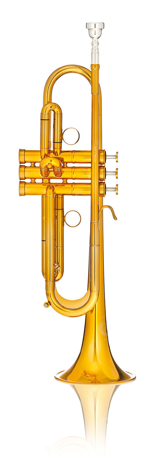 BS MBX2 Prestige Sib Vernie Dorée - BSMBX2LR-8-0D