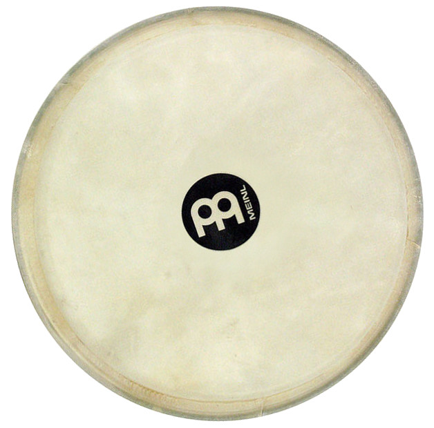 MEINL PEAU TSG01 12 POUR DJEMBE DJF3-DJW3