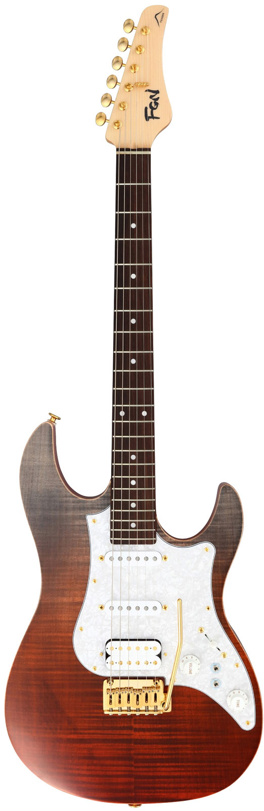 FGN GUITARS Eos2-Fm-R/Rkg Odyssey Expert Rw Ripe Kaki Gradation