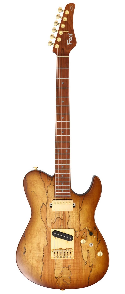 FGN GUITARS Expert Iliad Eil-Ew1-Hs-Rm/Hcb Hojicha Burst