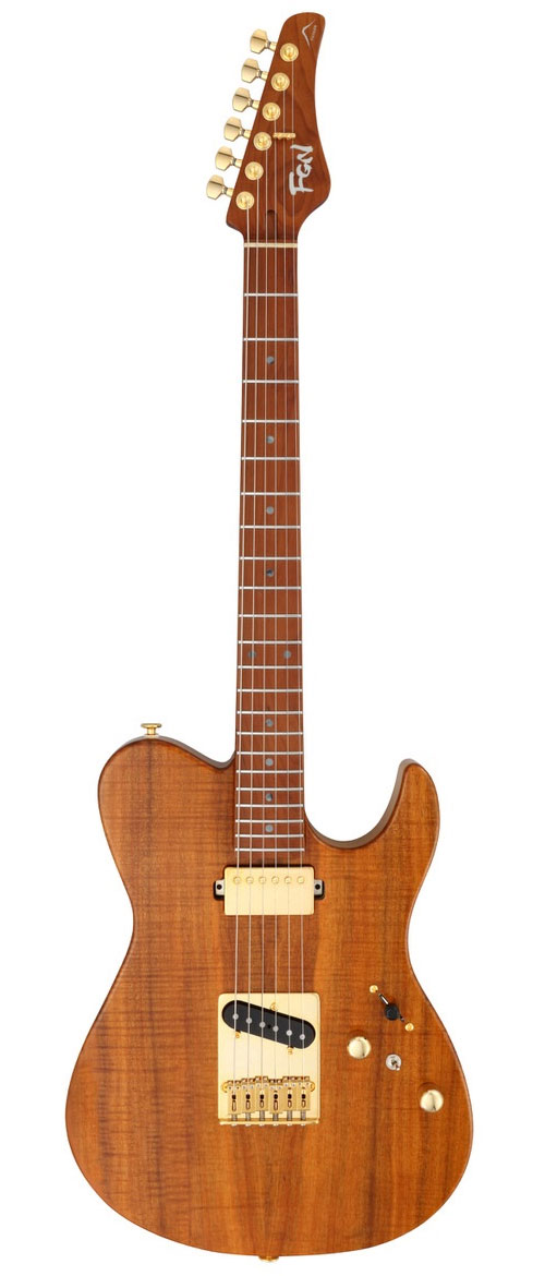FGN GUITARS Expert Iliad Eil-Ew2-Hs-Rm/Vnt Vintage Natural