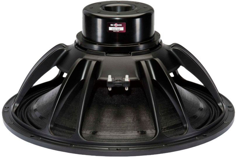B&C SPEAKERS 21DS115