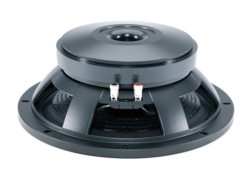 B&C SPEAKERS 12 PS 100